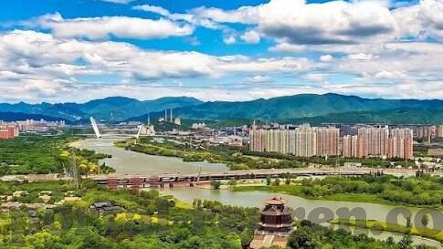 森林舞会游戏棋牌-森林舞会，游戏与棋牌的和谐交融