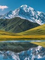 足球比分及时网-足球比分及时网，绿茵场上的数字心跳，球迷的实时情报站